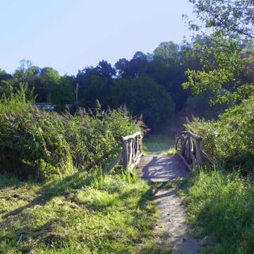 Zdravilni park Sveta Trojica